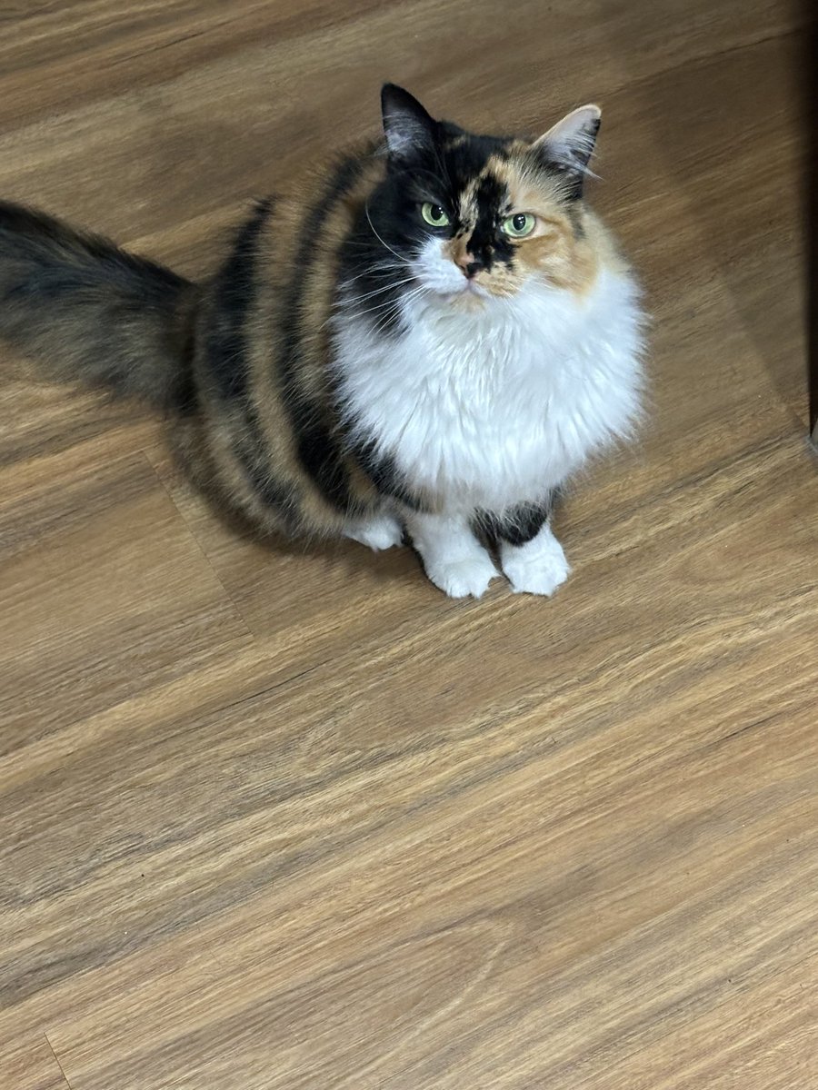 Cranky much! 5mins late for dinner!