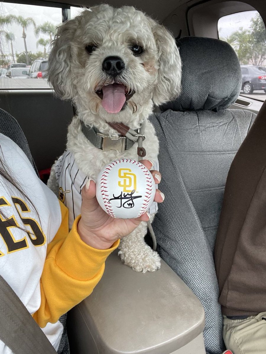 ohSnaps_Wendy's tweet photo. @padres #padrespets https://t.co/pNZq86I0xc