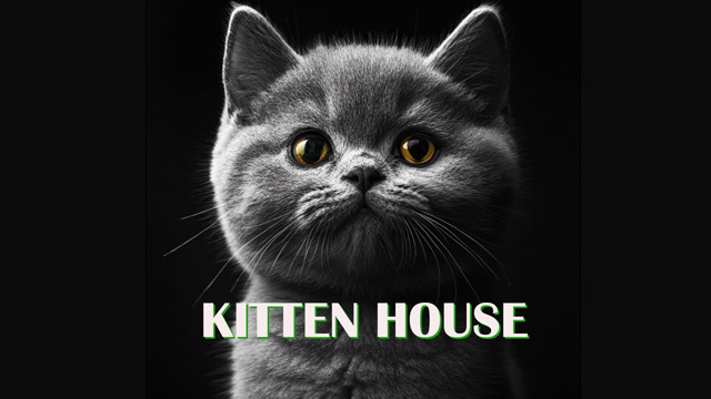 Meawwww  , Kitten House Telegram Meme BOT , 
Count Your Telegram Ages !  Join Task and Earn Rewards!  t.me/kittenhousecry…