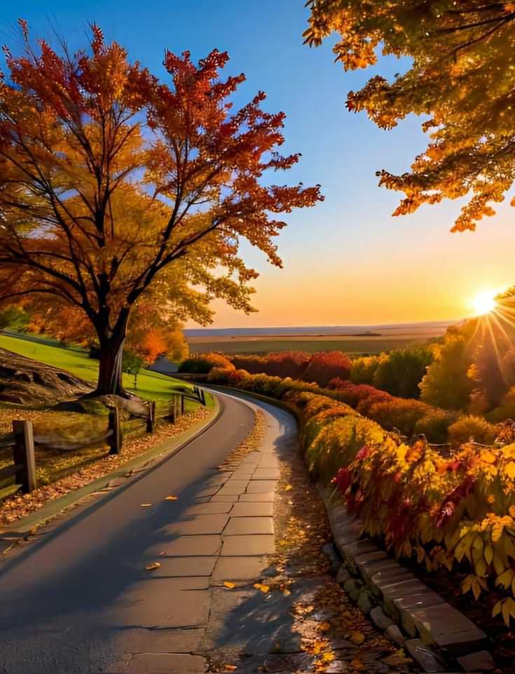 Thepetonly's tweet photo. Good morning everyone https://t.co/6w8ancpqOs