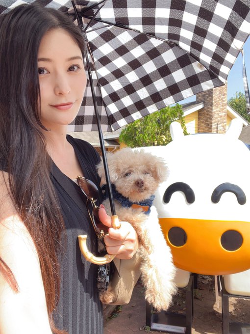 牧場に来てみたよ🐄🐄🐄  コロチャン、顔が引きつってる🥸笑 怖い怖いマンかな？ https://t.co/JclNyWVOkN