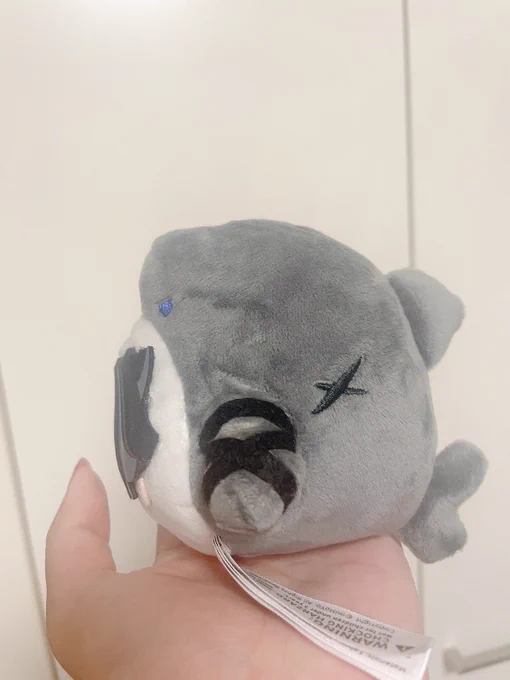 きちゃ!!!横のフォルムかわいすぎるだろ
