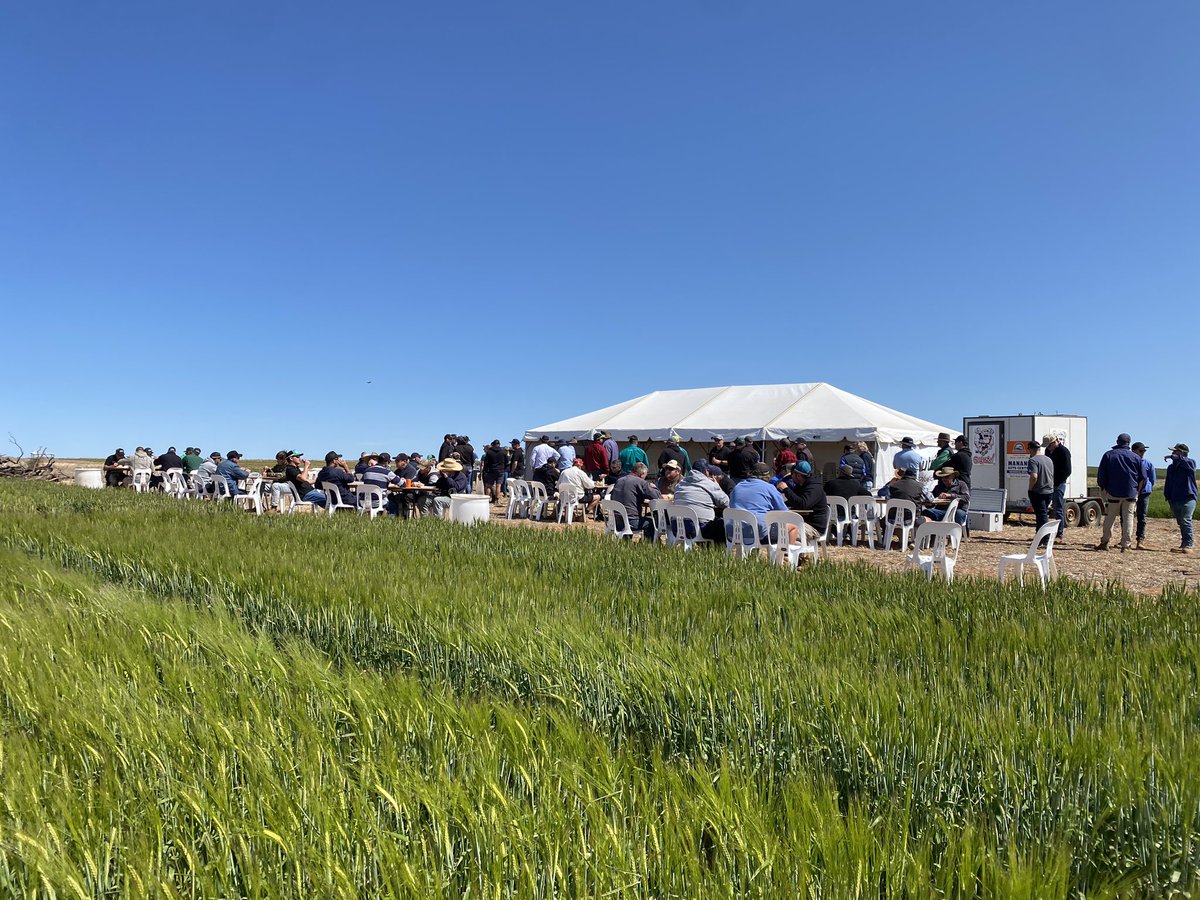 Michael Moodie (@moodie_ag) on Twitter photo Great to be out with <a href="/JasonBrand/">SouthernPulse</a> extending our <a href="/GRDCSouth/">GRDC South</a> Pulse trials to over 100 Mallee farmers and industry at the <a href="/NASManangOuyen/">Nutrien Ag Solutions Manangatang Ouyen & Underbool</a> trial site field day. Great discussion around herbicide tolerant pulses, n fixation, soil constraints, nutrition and varieties. Great to be out with <a href="/JasonBrand/">SouthernPulse</a> extending our <a href="/GRDCSouth/">GRDC South</a> Pulse trials to over 100 Mallee farmers and industry at the <a href="/NASManangOuyen/">Nutrien Ag Solutions Manangatang Ouyen & Underbool</a> trial site field day. Great discussion around herbicide tolerant pulses, n fixation, soil constraints, nutrition and varieties.