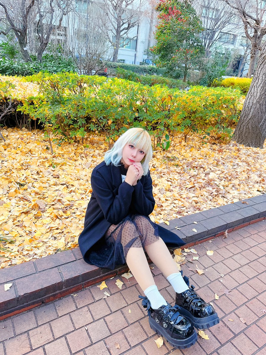 momeinu_nani's tweet image. ใบไม้เปลี่ยนสี 🍁

#mome