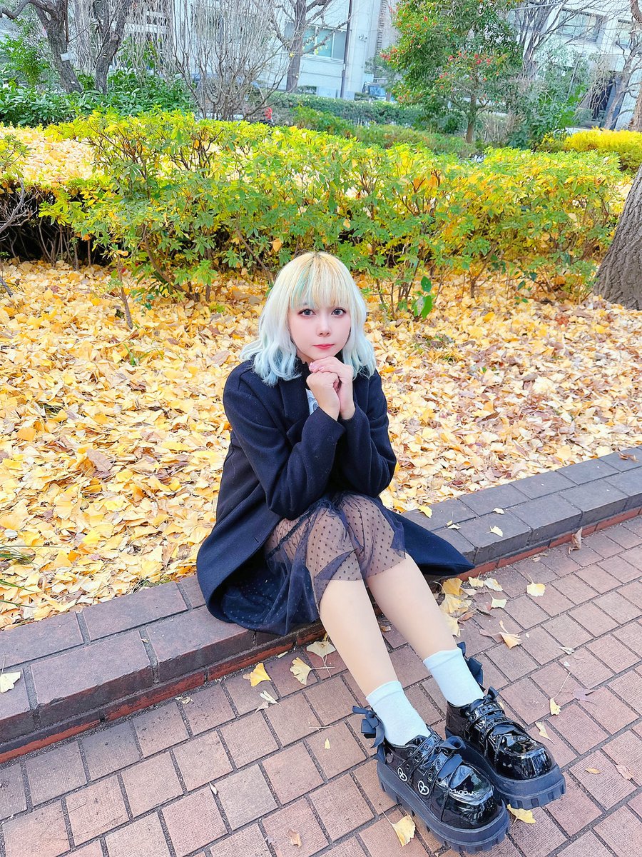 momeinu_nani's tweet image. ใบไม้เปลี่ยนสี 🍁

#mome