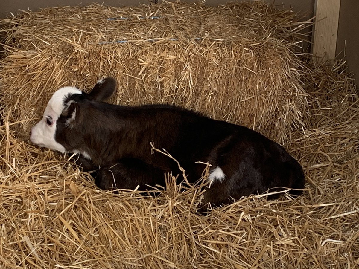 HMS Agriscience tweet media