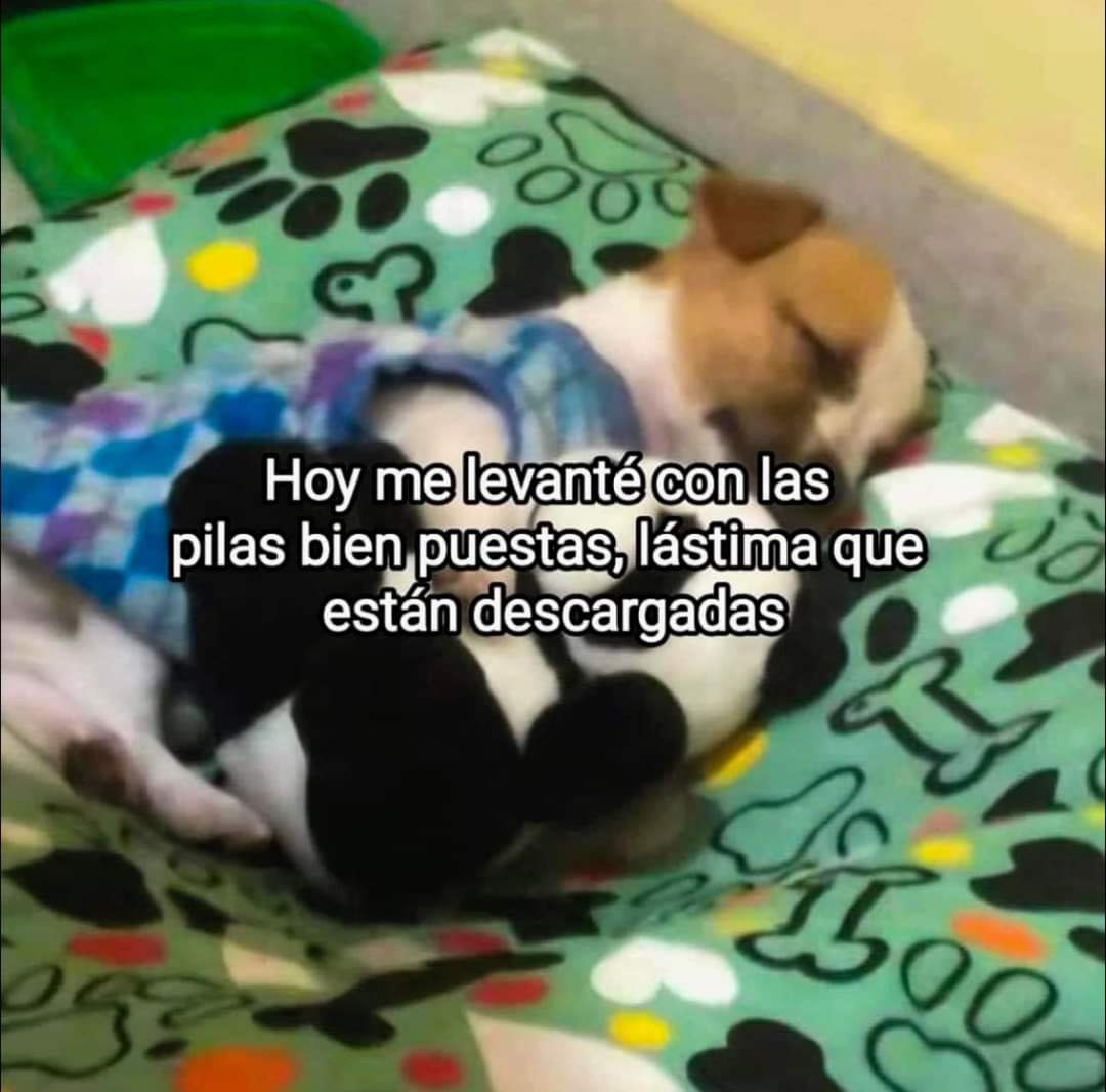 En Júpiter (@en_jupiter_) on Twitter photo 