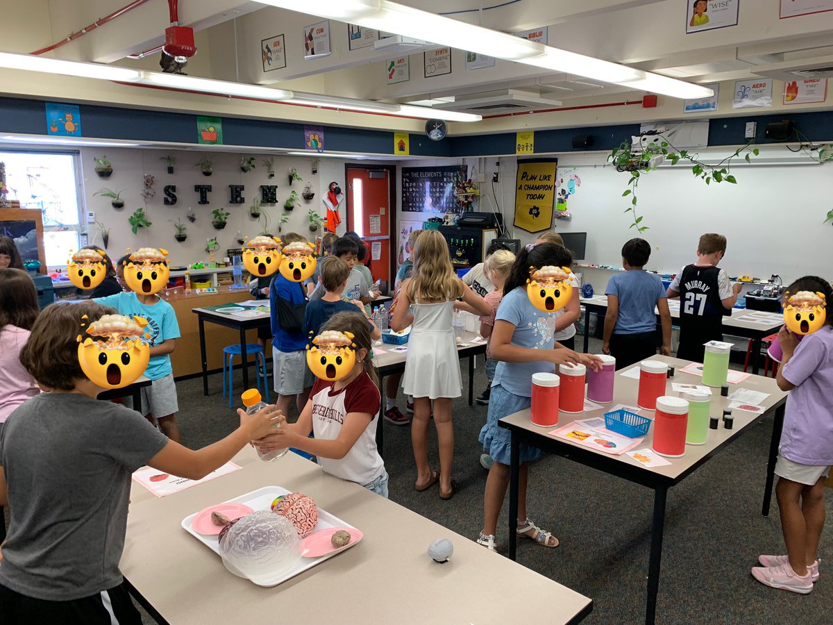 🧠❤️🧠
Brains!!!
Ss in the STEM Lab are using their #BRAINS to learn more about neuroanatomy!  
Hand-on &amp; Brains-on (literally 🤯)
#NeuroscienceInTheClassroom