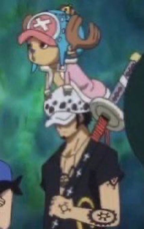 One Piece Daily (@opdaiiy) on Twitter photo Except For Chopper Except For Chopper
