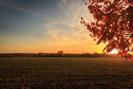 La denominació de la conselleria responsable de l’educació -Departament d’Educació i Formació Professional- representa un reconeixement del govern a la importància que l’FP està adquirint en la nostra societat. Ens felicitem per aquesta decisió a OpinaFP opinafp.com/la-formacio-pr…