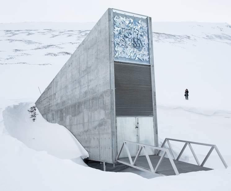 EnsedeCiencia's tweet image. BANCO MUNDIAL DE SEMILLAS.

El Banco Mundial de Semillas es una gigantesca ''caja fuerte'' con todas las variedades de semillas del mundo, situado en la isla de Spitsbergen, en el archipiélago noruego de Svalbard.

También es conocida como ''la cámara del fin del mundo'', ya que…