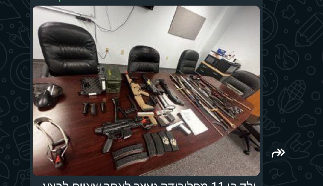 מרק צל, נציג כת טראמפ בישראל, הסביר אתמול איך חוקי נשיאת הנשק המטורללים של ארהב נועדו להגן על האזרח מהממשלה
על מי מגן הילד הזה?
ילד בן 11 מפלורידה נעצר לאחר שאיים לבצע ירי המוני בבית ספרו. בחיפוש משטרתי בביתו נמצאו נשקים רבים ורשימת מטרות, אך לאחר מכן הוא טען ש"הכול היה בדיחה"