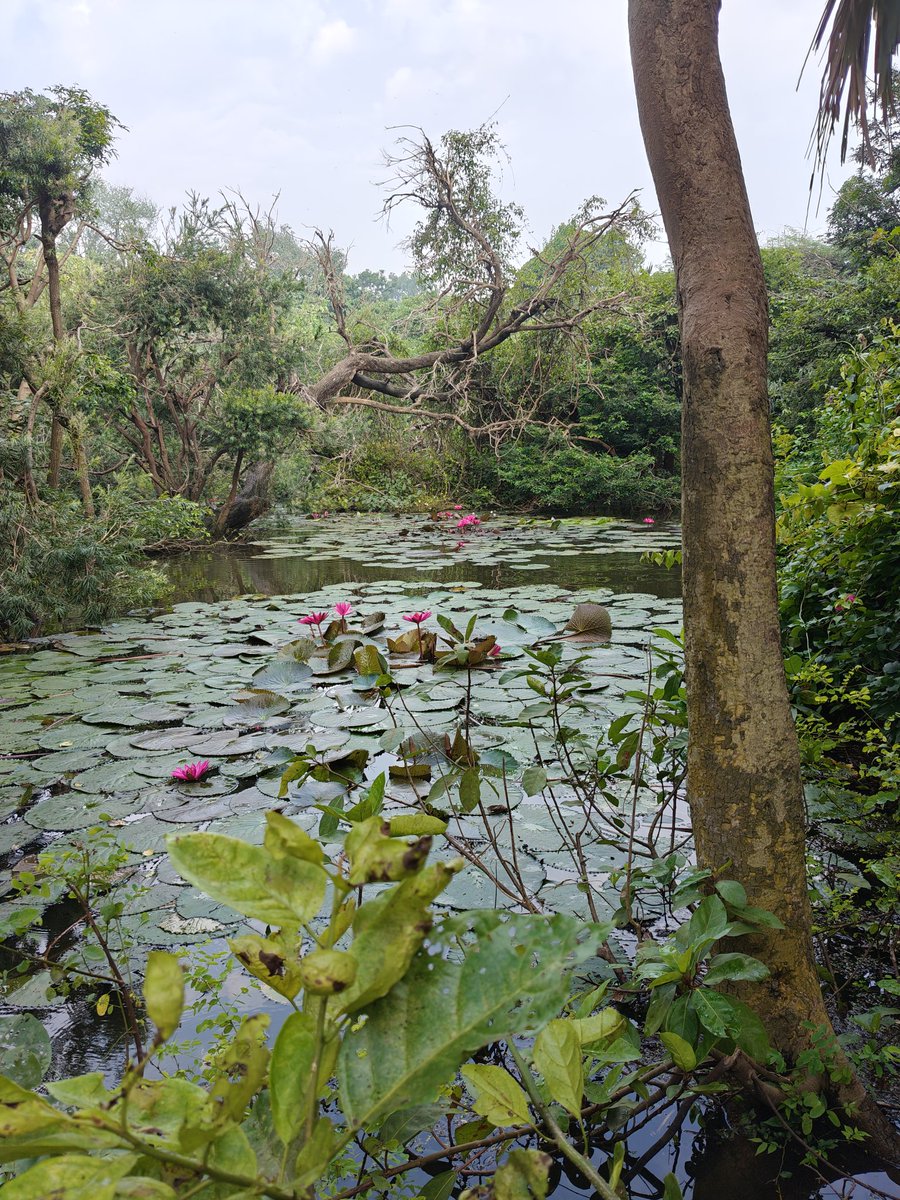 Vikas Seth tweet media