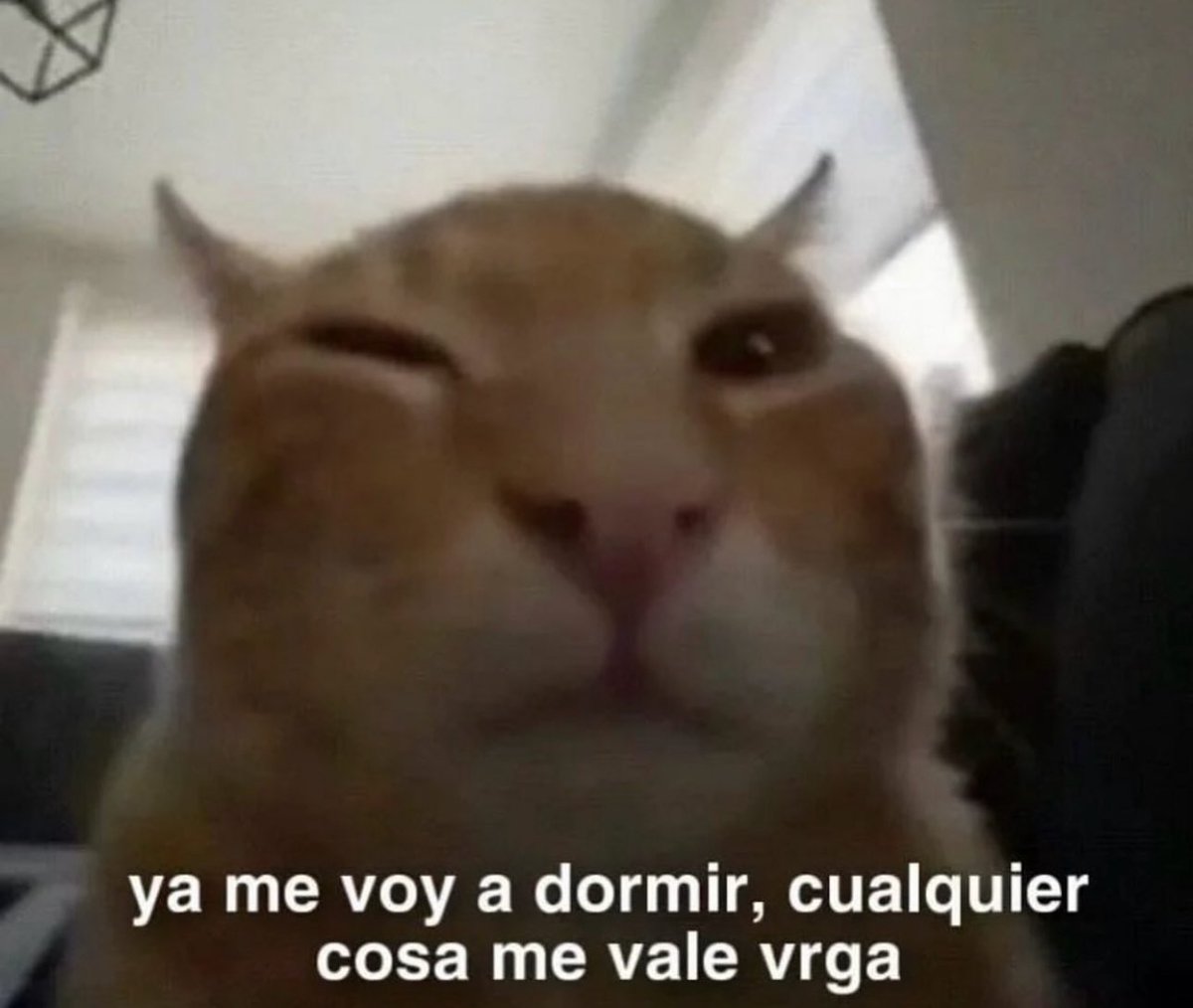 soyMargarlto's tweet image. Buenas noches