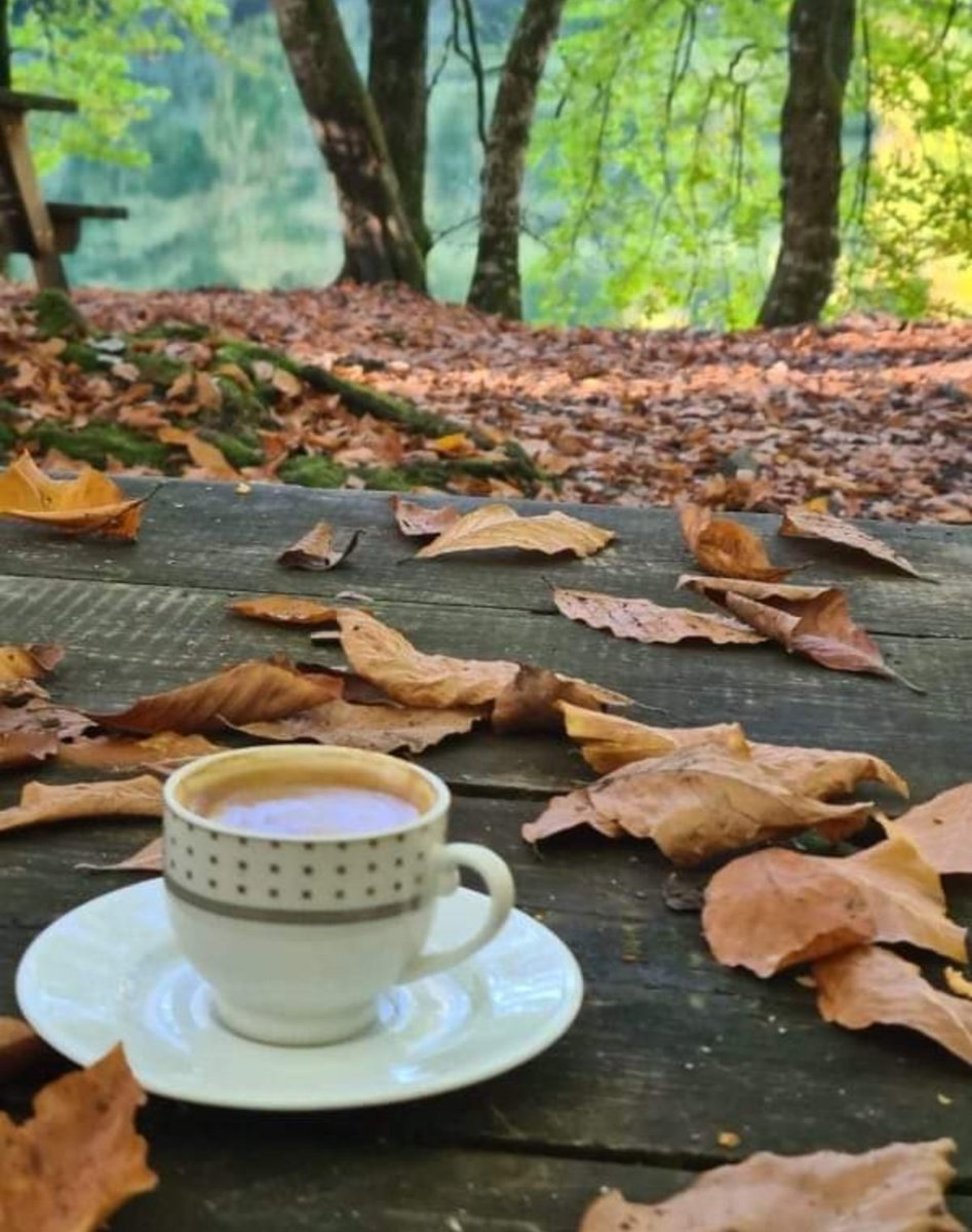 Allah’a tevekkül edenin yâveri Hak’dır,
Nâ-şâd gönül bir gün olur şâd olacakdır.
Ziya Paşa