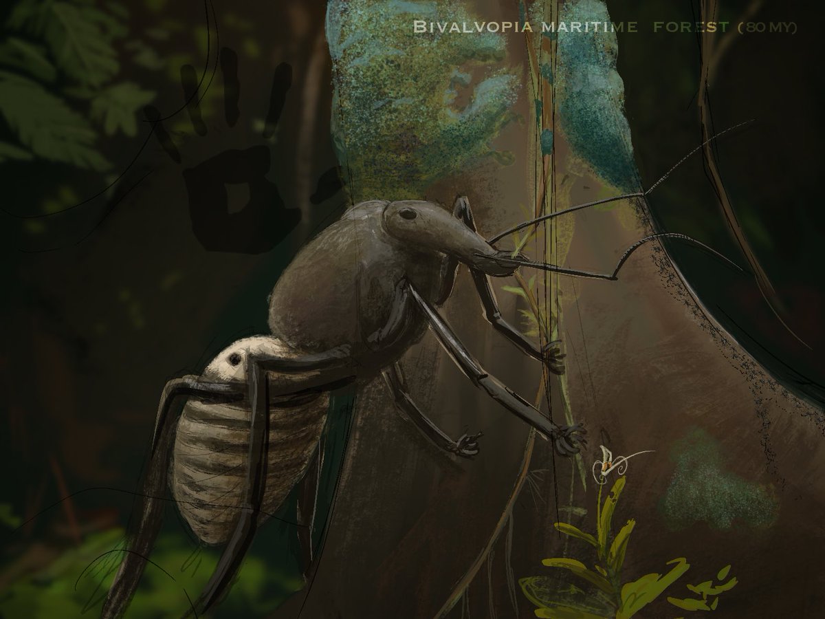 Biggest Bumblebees of their time, a rare sight in the ever shrinking forests they call home

fully terrestrial sponges evolved to serve as lichens in this setting in the absence of competition, only ever thriving on such moist conditions

#Bivalvopia