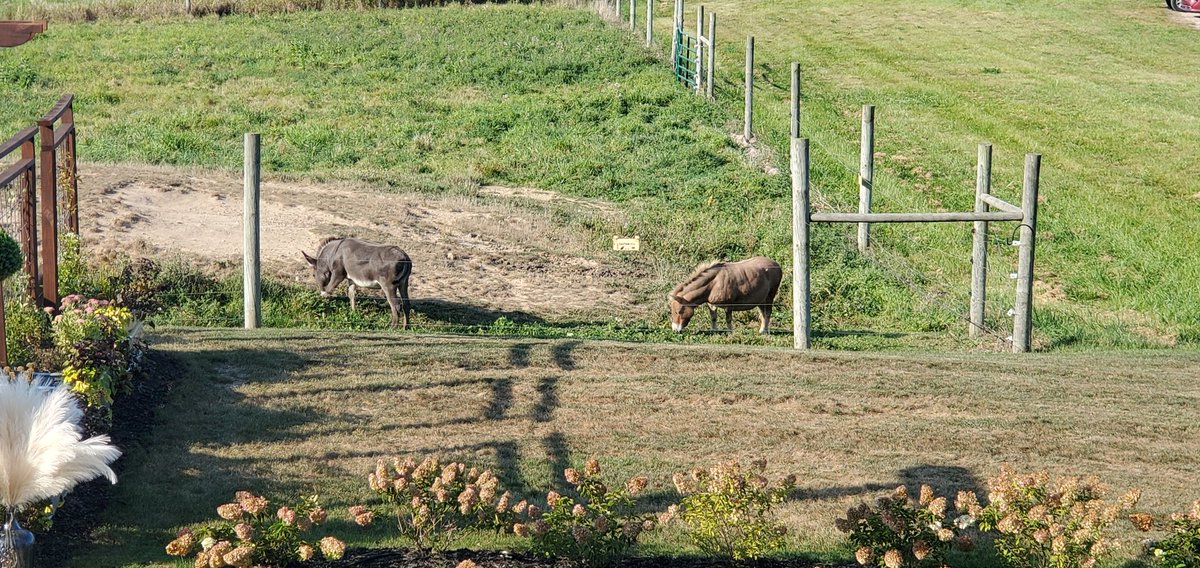 For the first time in at least 8 months, I had a weird dream had something to do with some pregnancy tests. I don't know about dream analysis and certainly have NO idea what that's all about. There's no boom boom happening here. Then there were these two asses.