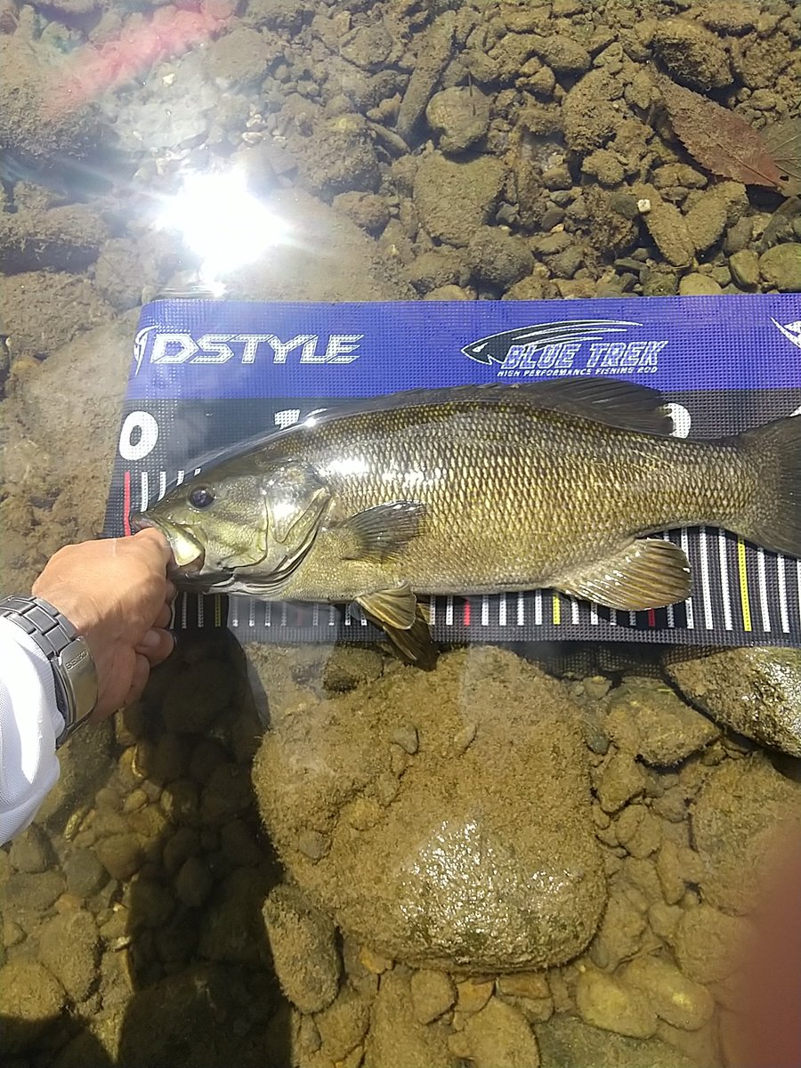native stringer (@NativeStringer) / Posts / X