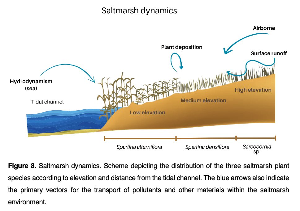 Group of Aquatic Macrophyte Ecology tweet media