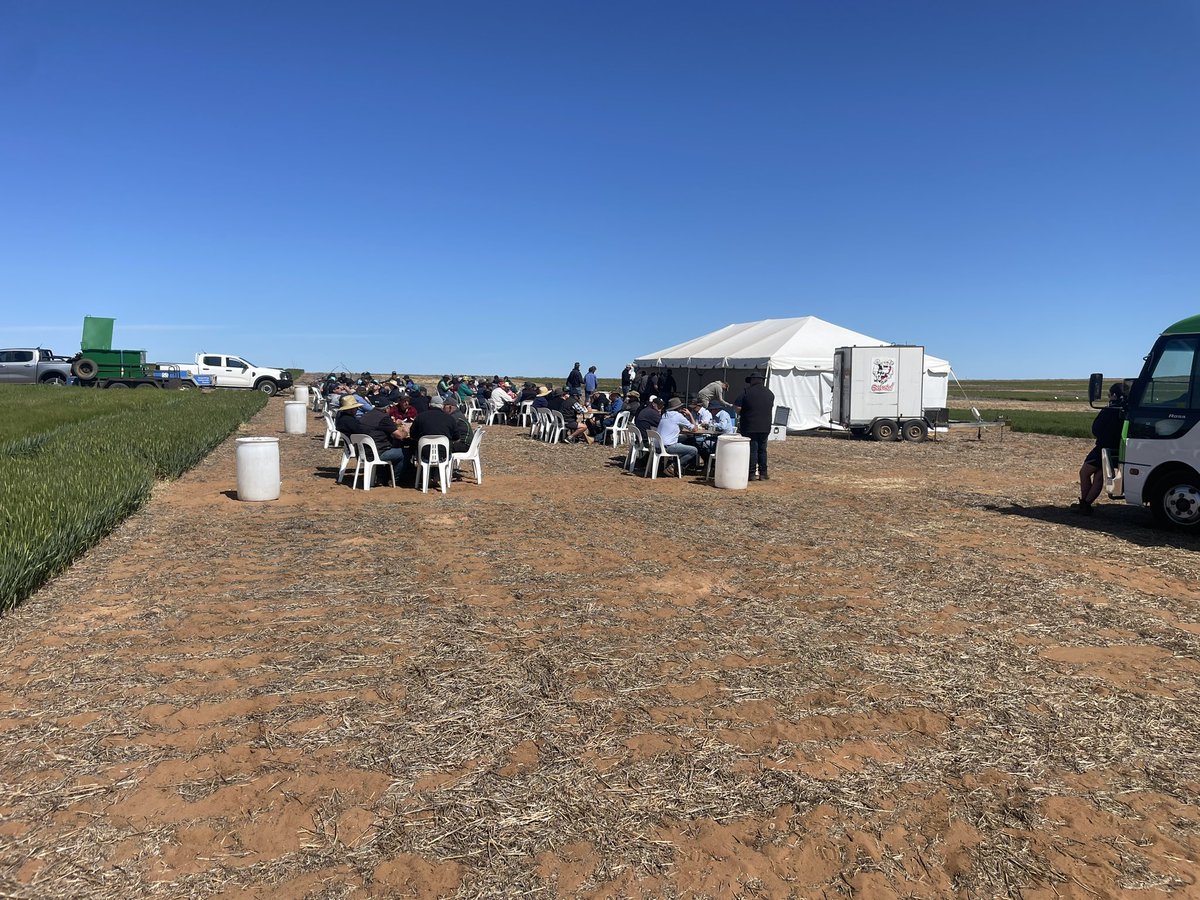 Andrew McMahen (@andrewmcmahen) on Twitter photo Thanks to everyone for attending <a href="/NASManangOuyen/">Nutrien Ag Solutions Manangatang Ouyen & Underbool</a> Trial site field day.
It was an amazing day with Great weather, great discussion and interaction and a bloody good spit roast lunch. Thanks to everyone for attending <a href="/NASManangOuyen/">Nutrien Ag Solutions Manangatang Ouyen & Underbool</a> Trial site field day.
It was an amazing day with Great weather, great discussion and interaction and a bloody good spit roast lunch.