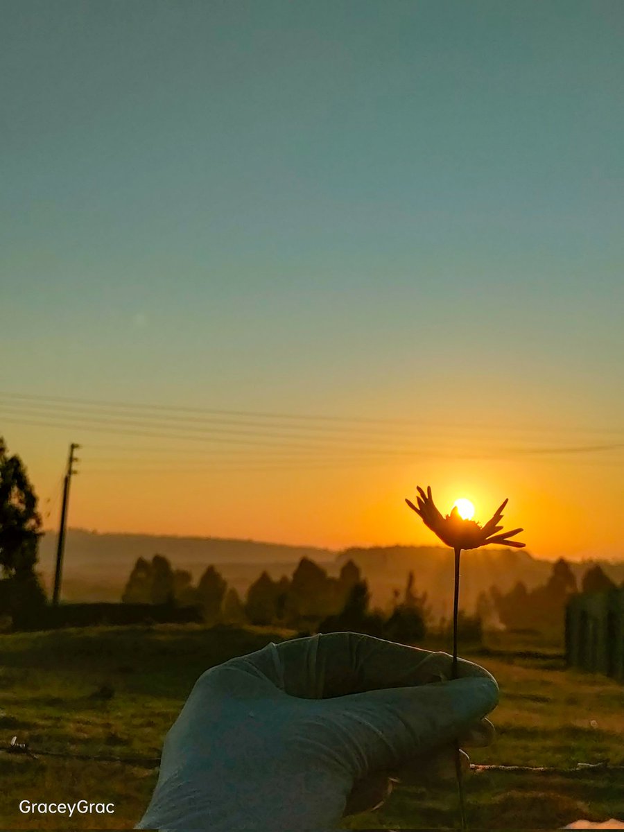 GraceyGrace18's tweet image. Every sunrise paints my soul with hues of happiness and renewal🫠