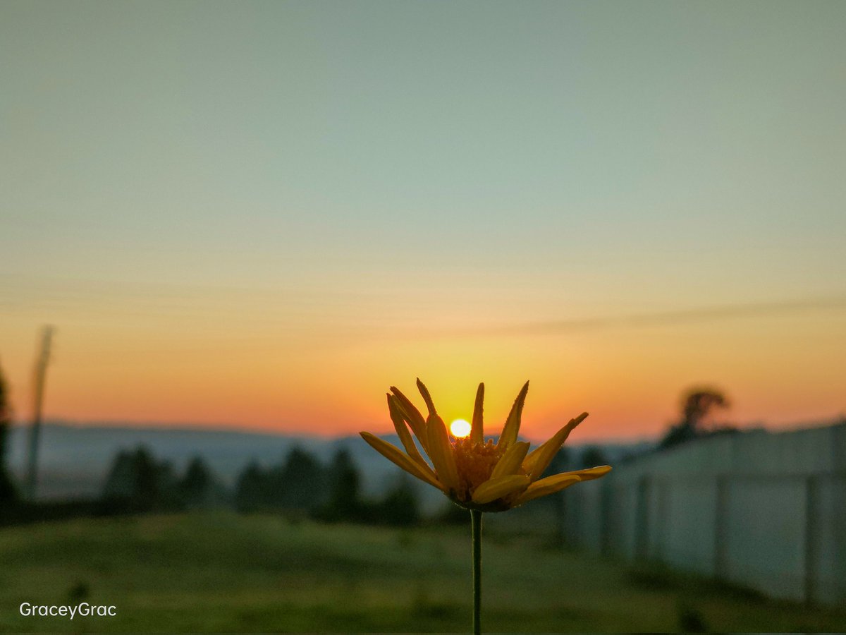 GraceyGrace18's tweet image. Every sunrise paints my soul with hues of happiness and renewal🫠