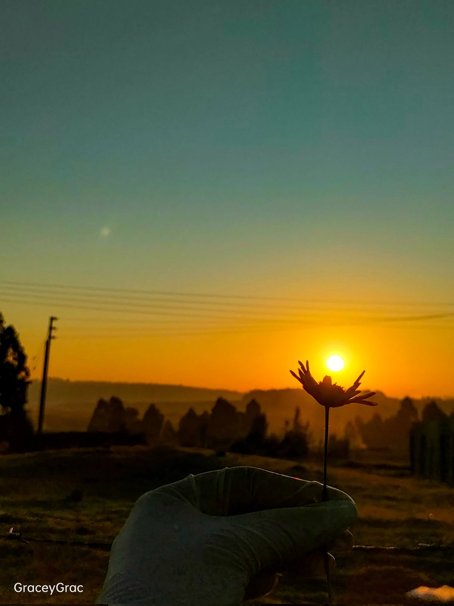 GraceyGrace18's tweet image. Every sunrise paints my soul with hues of happiness and renewal🫠