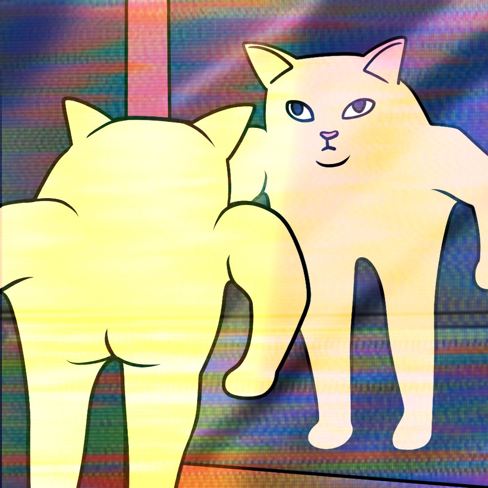 definitely not a cat tweet media