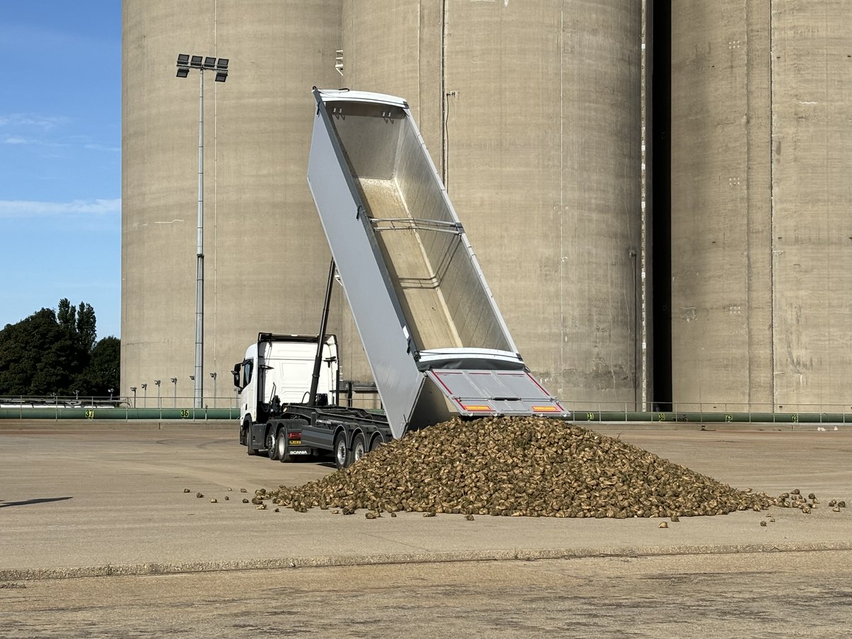 The gates are open at our Bury St Edmunds factory and the 2024/25 #sugarbeet campaign has started!

Here's one of the first loads of beet delivered to us😍

💛Wishing all growers, contractors, hauliers &amp; industry partners the very best for a safe &amp; successful campaign!