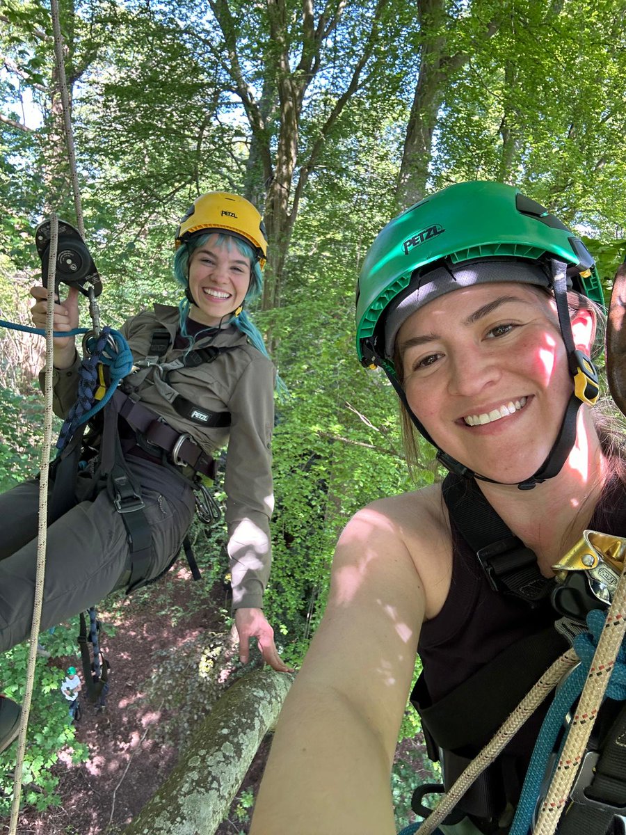 James Aldred tweet media