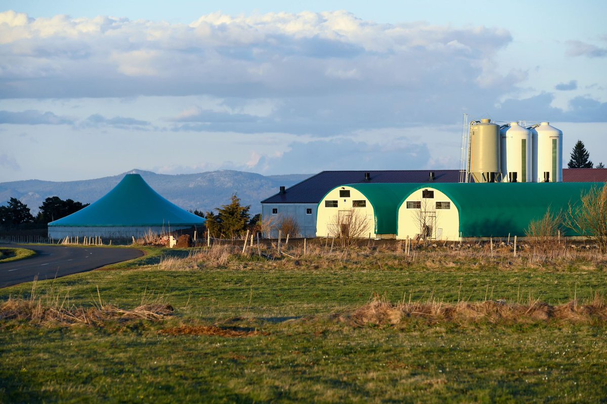 Gaz d'aujourd'hui tweet media