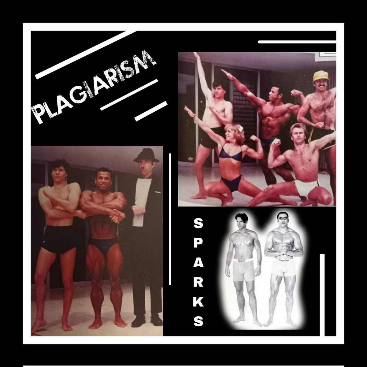 Sacha P. tweet media