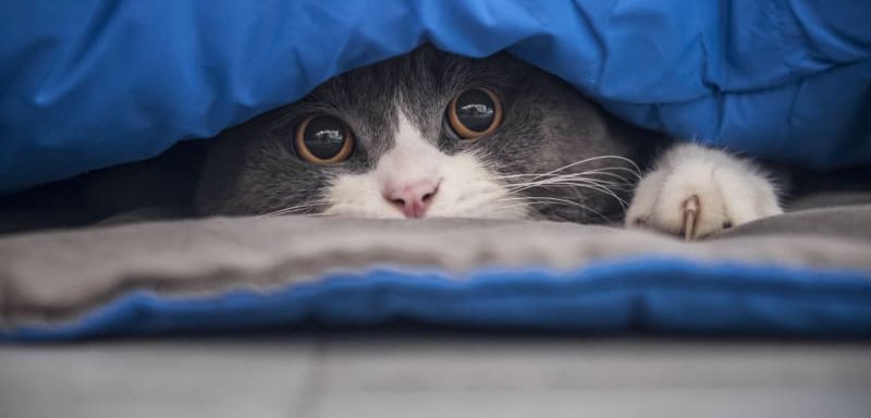 We still need to help the 93rd and 72nd brigades, but fundraiser is stuck and I don't know what to do to change that. 

Right now I am sick and feeling bad so can’t tweet a lot, I need to rest🥲 

Please help a bit this fundraiser😭
send.monobank.ua/jar/9ZjYbzch6b
PayPal