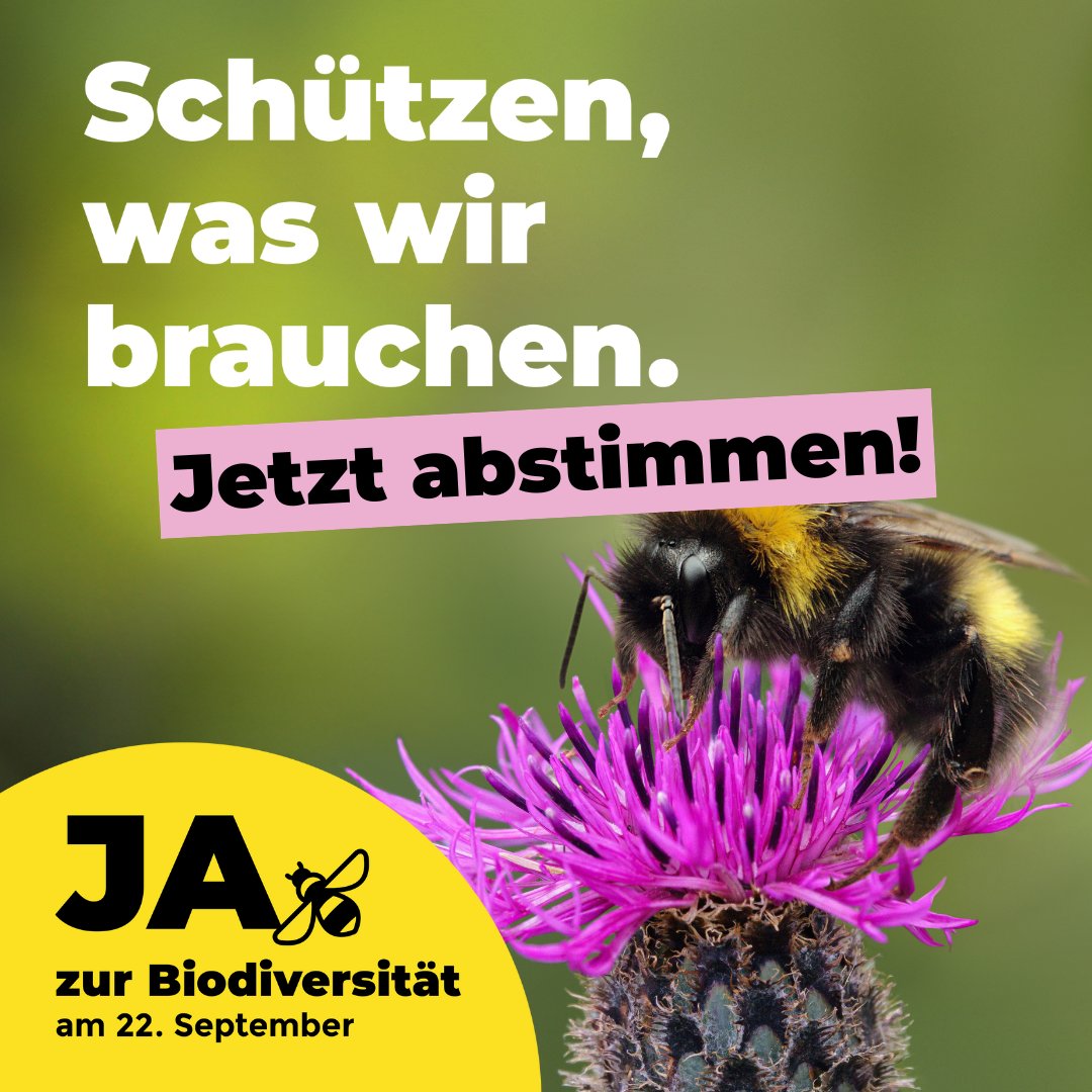 Sag JA zur #Biodiversitätsinitiative in deinen Abstimmungsunterlagen, unterschreibe und wirf das frankierte Kuvert in den nächsten Briefkasten. Heute geht es noch per A-Post, morgen dann  bei deiner Gemeinde. We beelieve in you ❤ #JAzurBiodiversitaet
