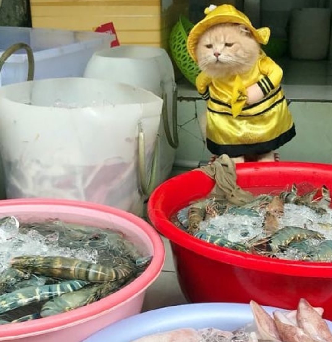 中秋佳节🎑
多吃海鲜🦞
😺