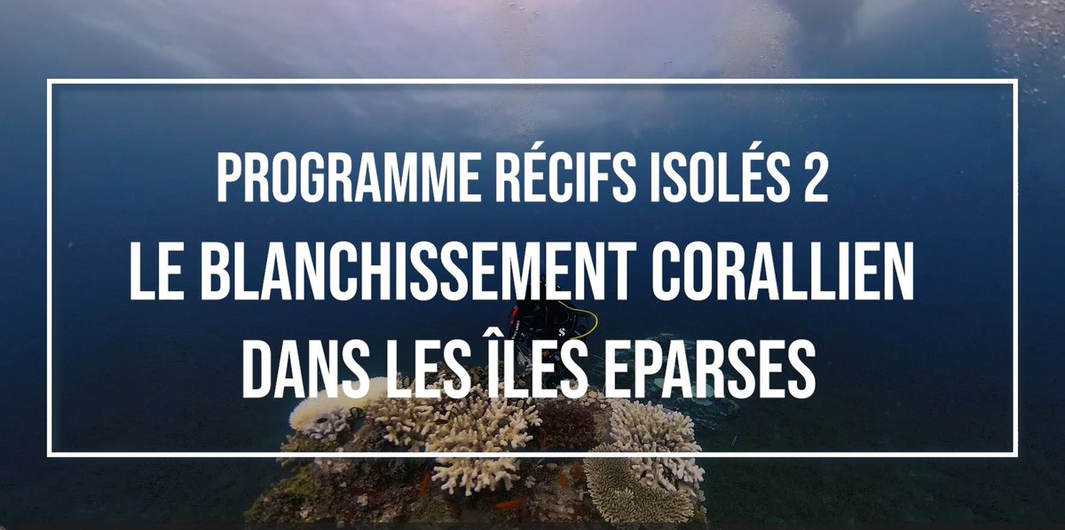 TAAFofficiel's tweet photo. Résultats de la dernière mission #recifsisoles2 : alerte blanchissement corallien dans les îles Éparses !🪸🎥: https://t.co/XPwZEkhPeO
@OFBiodiversite @Ifrecor @Fondationdelamer #SOSCORAIL https://t.co/Uz5lavqYWd