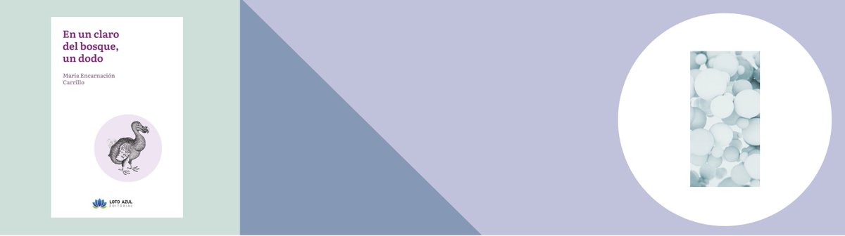 María Encarnación Carrillo García tweet media