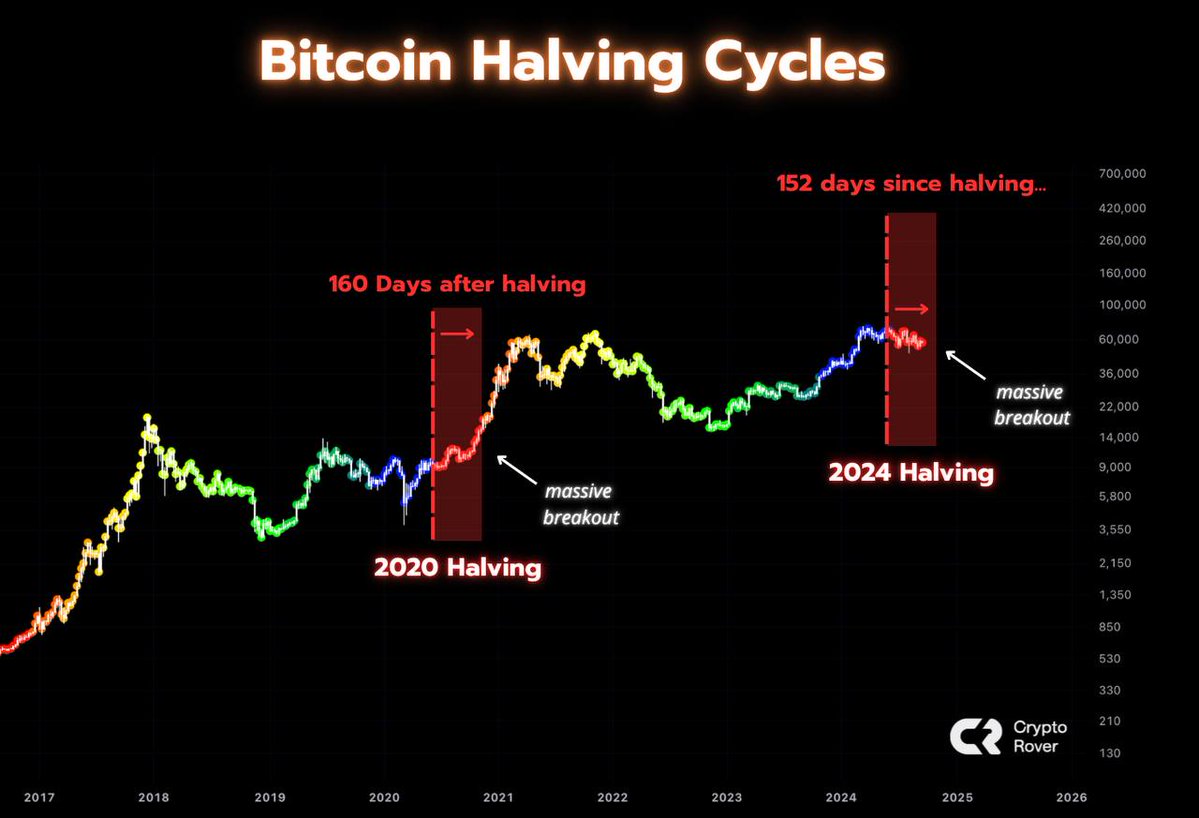 It has been 152 days since the last #Bitcoin halving. Last cycle, the bull  market started 160 days after the halving. Will history repeat?