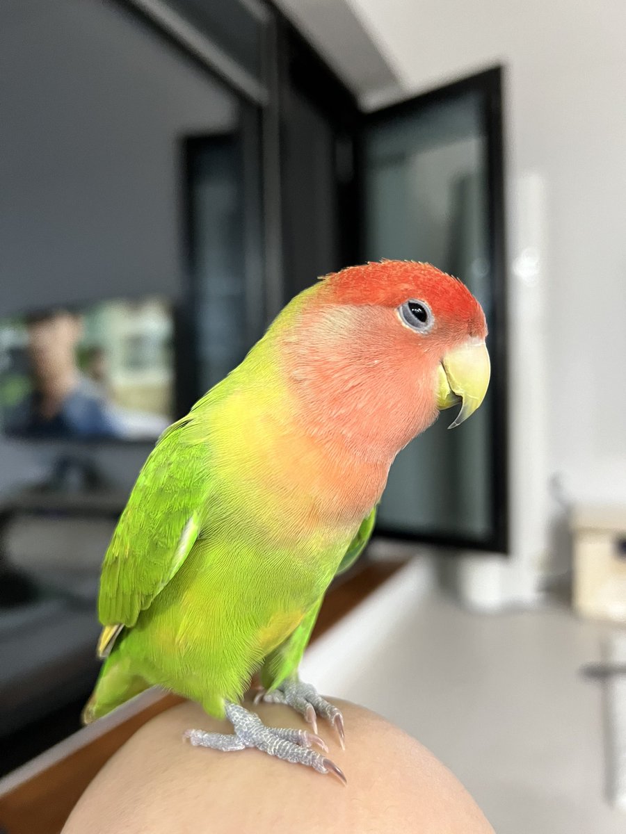 눈웃음 모야 참나 왜 나 꼬시냐