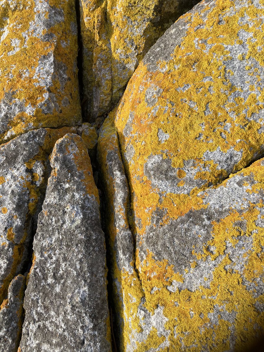 Nature connection, dementia wellbeing: the neighbourhood house conference in a beautiful part of the world #wicking #dementia #natureconnection