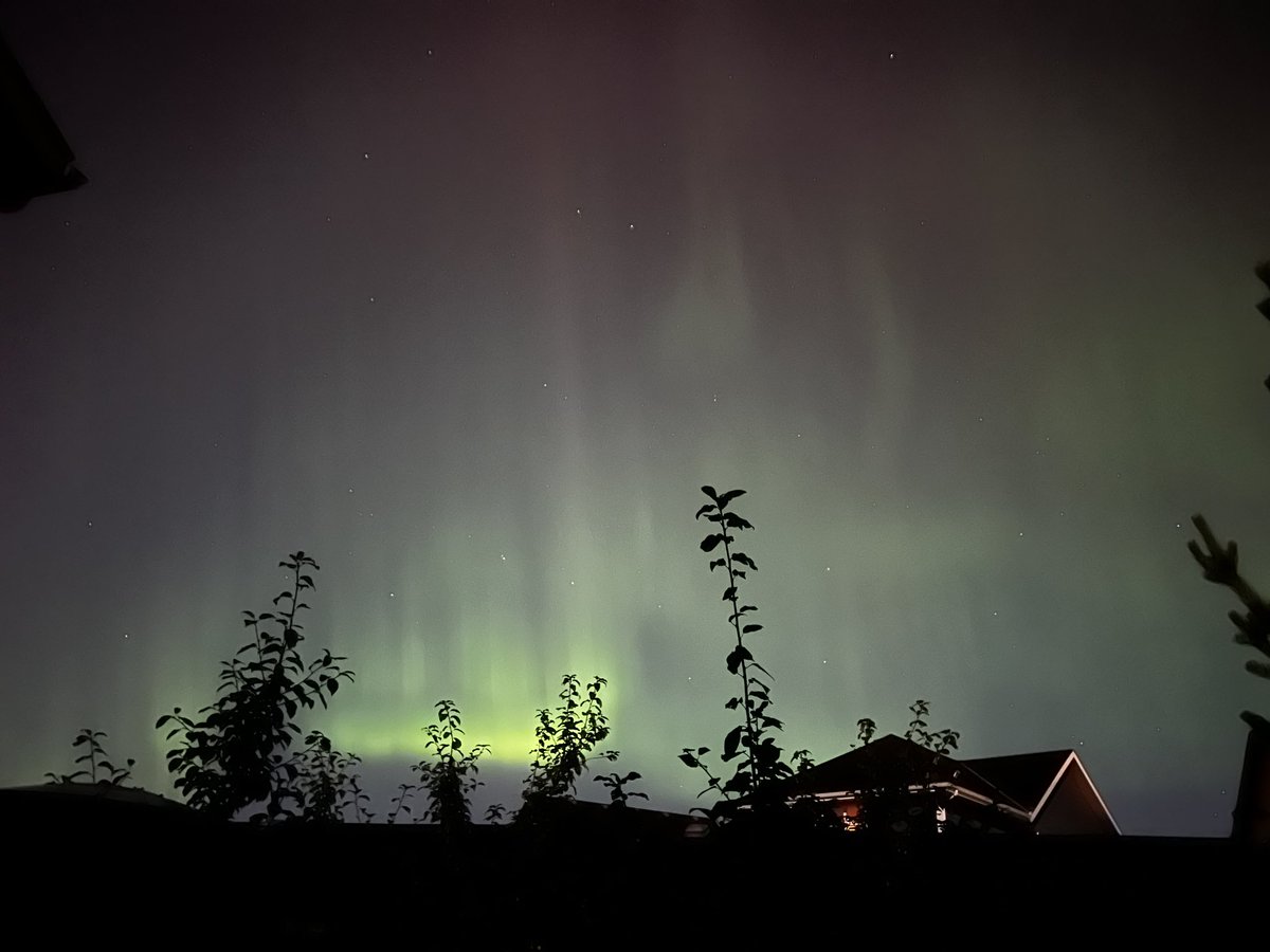 Mark Smith tweet media