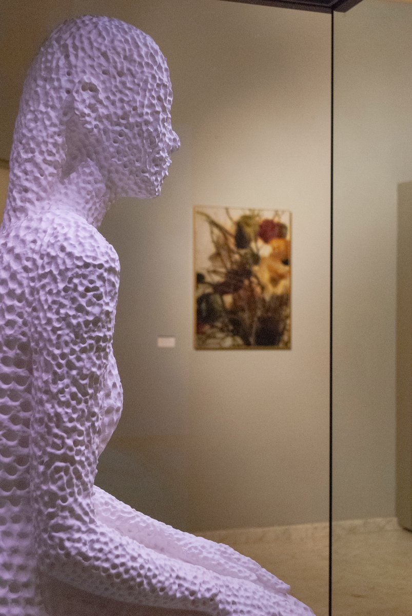 Museo Diocesano MS tweet media