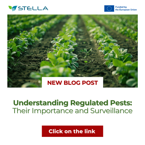 New Blog Post Alert! 

Discover the challenges in pest monitoring and how STELLA is tackling them with cutting-edge #technologies, including  #IoT sensors and #AI &amp; through the development of an innovative Pest Surveillance System (PSS).

Read more: 👉 rb.gy/zv9szs