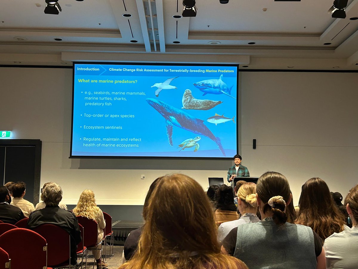 Milan Sojitra (@milans0jitra) on Twitter photo Presenting at #AMSANZMSS2024 on my #PhD research on climate change risk assessment for terrestrially-breeding marine predators, published in <a href="/GlobalChangeBio/">Global Change Biology</a>!
onlinelibrary.wiley.com/doi/full/10.11… Presenting at #AMSANZMSS2024 on my #PhD research on climate change risk assessment for terrestrially-breeding marine predators, published in <a href="/GlobalChangeBio/">Global Change Biology</a>!
onlinelibrary.wiley.com/doi/full/10.11…