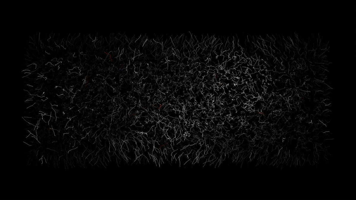 Vladimir Mitrović (@pttrn) on Twitter photo 