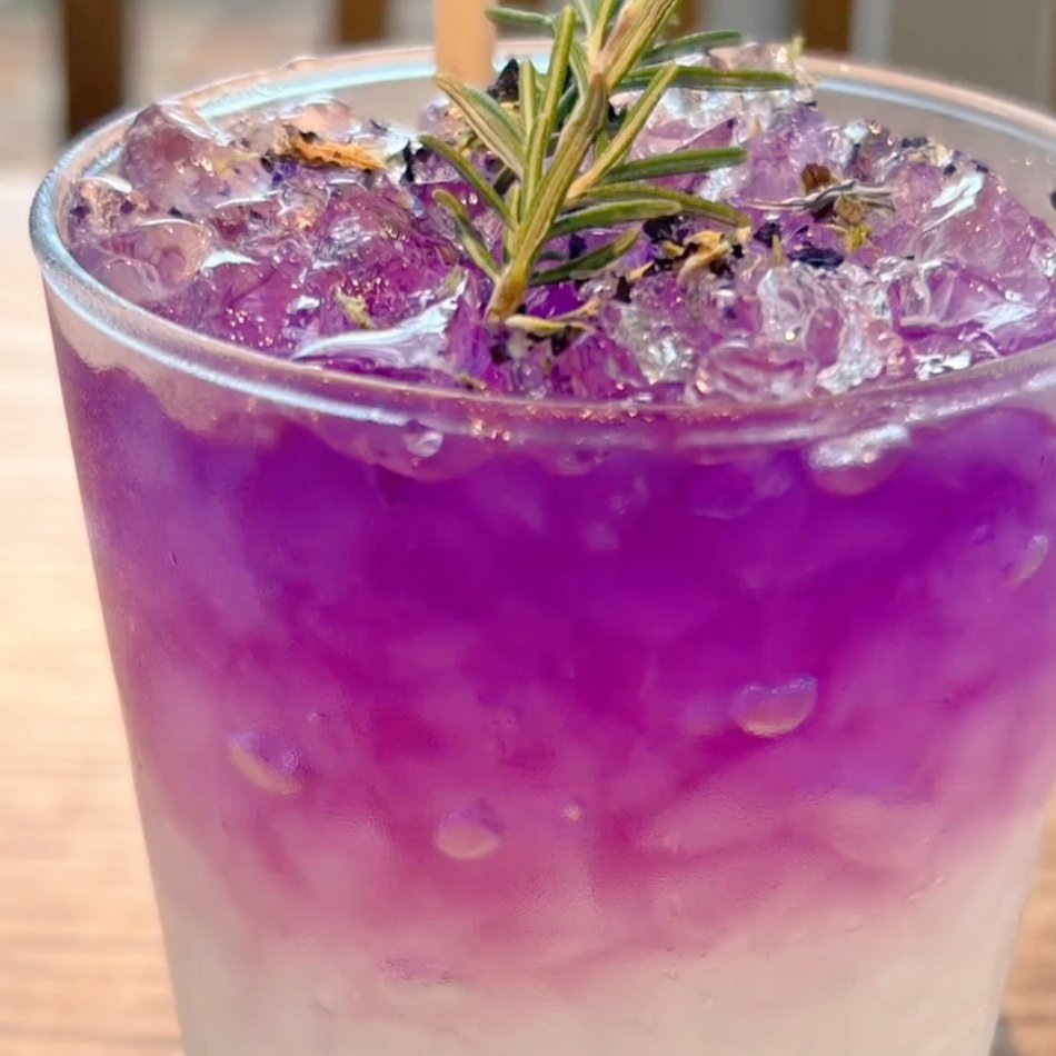 Ty4Hl's tweet photo. 一旦休憩〜
happyになれる大切な時間
これ飲んでがんばります ·͜· 🌿.∘
#Ronhermancafe #lemonade https://t.co/FgFBZqrxea
