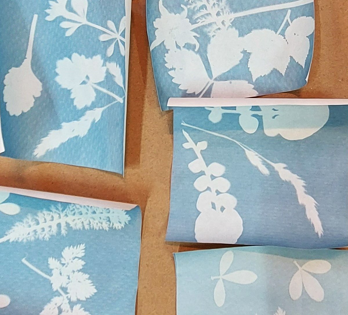 Gorgie-Dalry deserves high-quality, accessible and inspiring public spaces!
For over a year, our committee members have been developing concepts for new sculptural seating in our area. Here's a sneak peak at some early design ideas...👀🪑

#Gorgie #community #art #publicspace