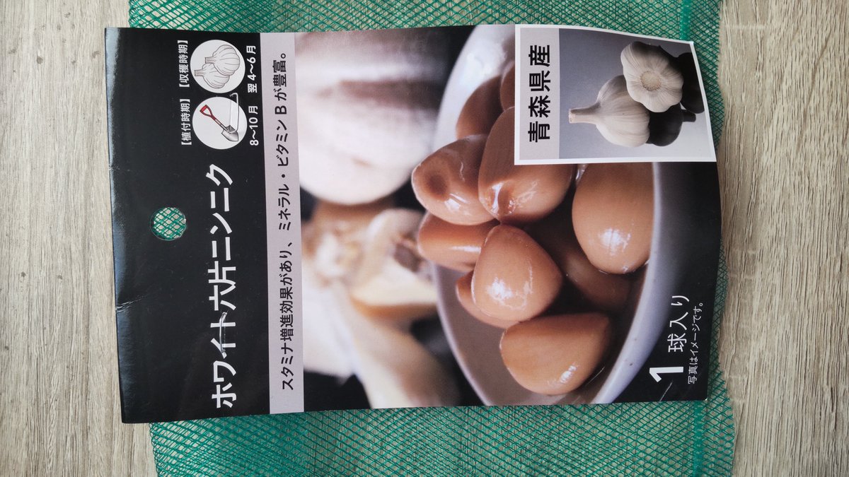 kaoriy5's tweet photo. 小��玉市のヤナケン（柳川採種研究所）へ行ってきた。
種・苗だけではなくて肥料や用具など、農業に関するものなら何でも揃いそうなパラダイス🤩

ネットの情報を頼りに初心者でもできそうなものを選んできた。
大根（9月下旬）⇒ニンニク（10月初旬）⇒小松菜（10月中旬）⇒そら豆（10月下旬）を予定 https://t.co/Dt3moxwYR3