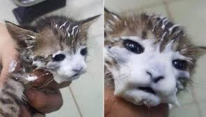 ㅎi♡ (@luvtae_hee) on Twitter photo 