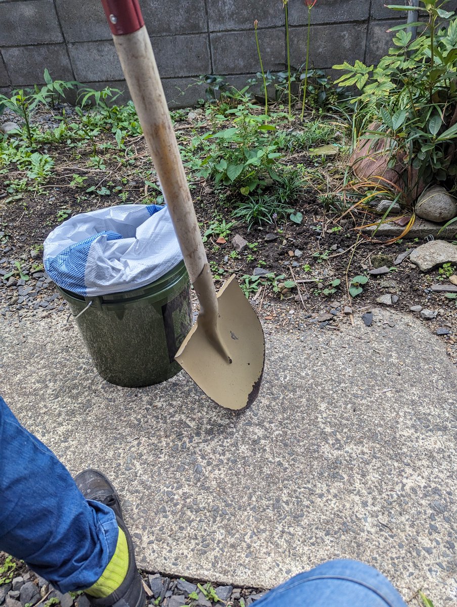 casadeyoshi's tweet photo. 日々進化しています。
今日は残土撤去とウッドデッキの加工。
完璧に作るには本当に時間がかかります。 https://t.co/a2QSyvXHRo